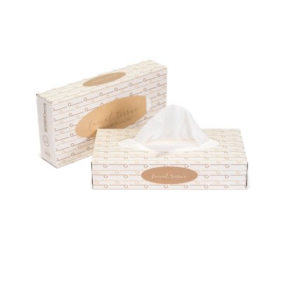 Carton 40 Boites de 100 mouchoirs			
