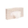 Carton 40 Boites de 100 mouchoirs			